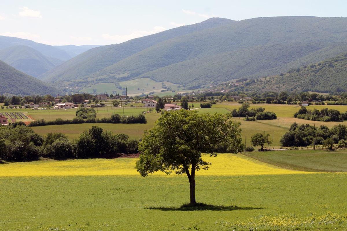 Agriturismo Il Casale Degli Amici Норча Экстерьер фото