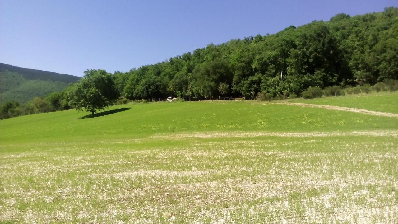 Agriturismo Il Casale Degli Amici Норча Экстерьер фото